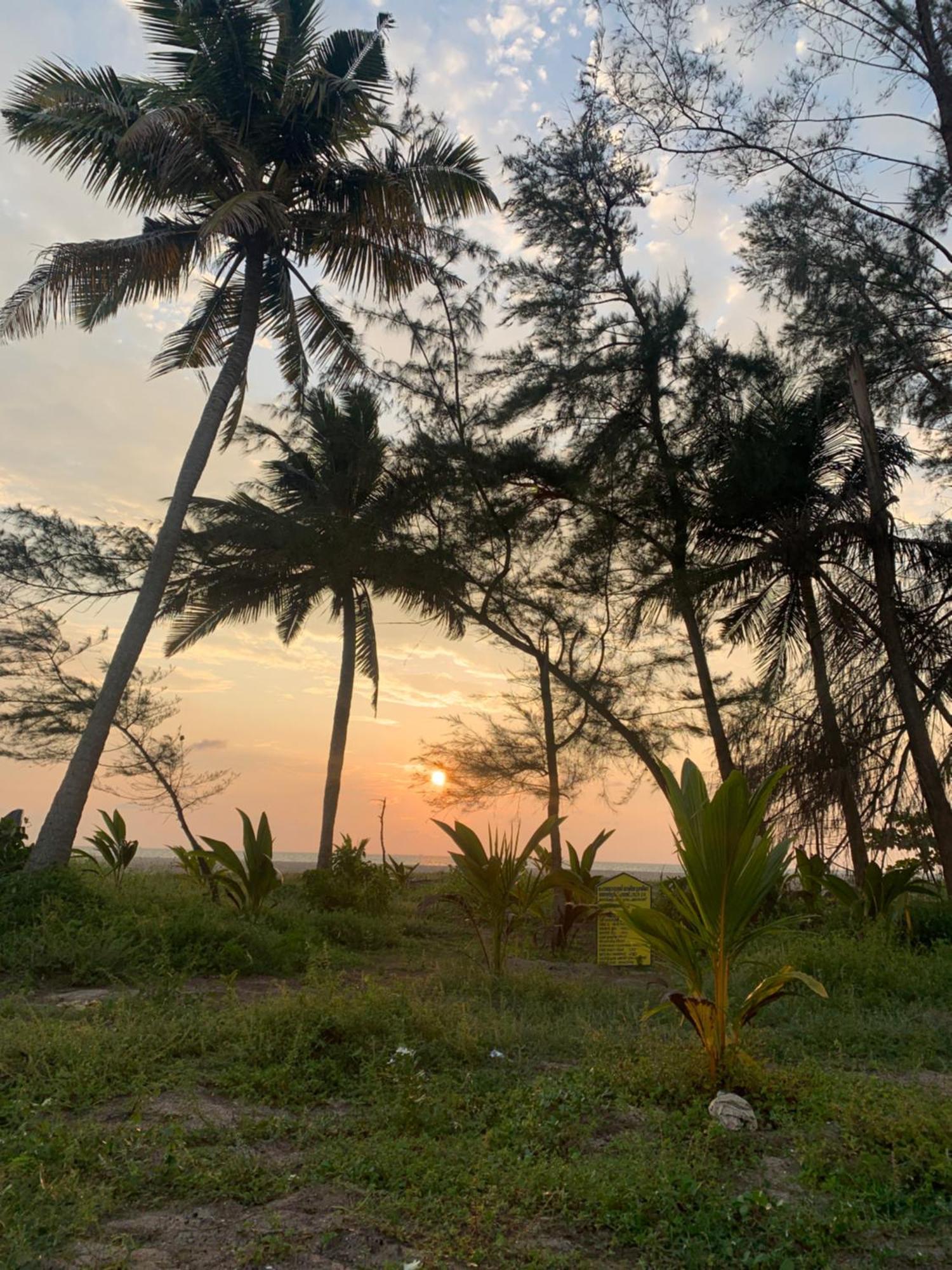 Shoreline Marari Beach Villa At Golden Beach Mararikulam Alappuzha Kültér fotó